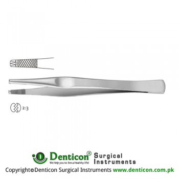 Lane Dissecting Forceps 2 x 3 Teeth Stainless Steel, 14.5 cm - 5 3/4"
